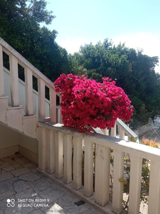 Apartman Hibiskus ボル エクステリア 写真
