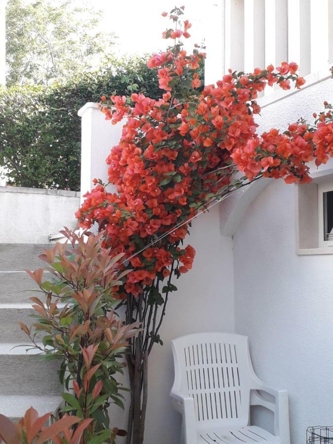Apartman Hibiskus ボル エクステリア 写真